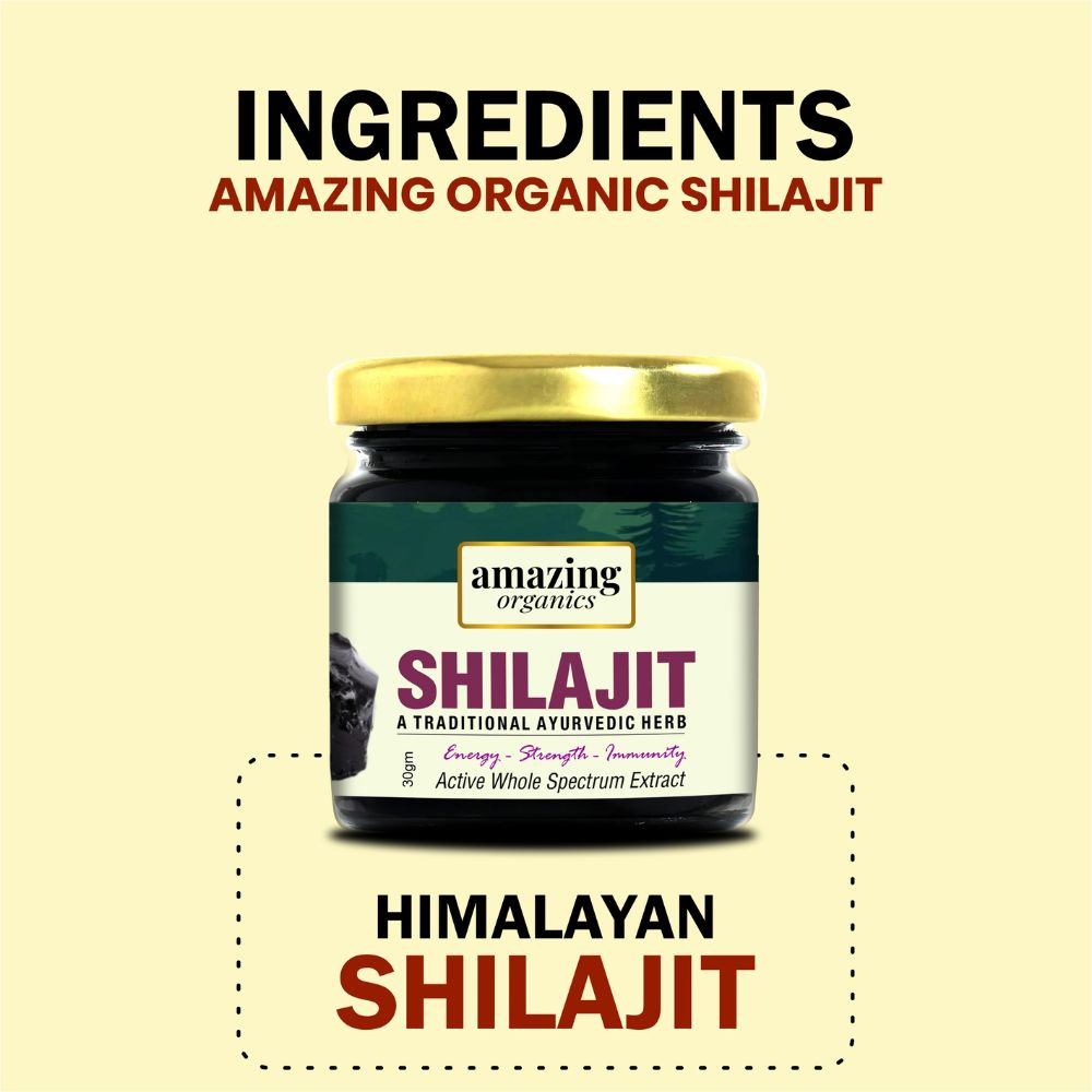 Himalayan Shilajit Resin 3 Month Supply