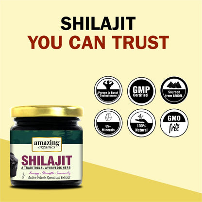 Himalayan Shilajit Resin 3 Month Supply